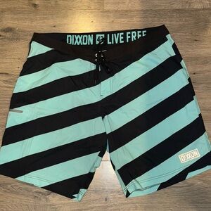 DIXXON Men's Aqua and Black Striped Board Shorts